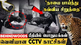 'நள்ளிரவில் நாயை பாய்ந்து கவ்விய சிறுத்தை'.. பீதியில் பொதுமக்கள்.! வெளியான அதிர்ச்சி CCTV காட்சிகள்