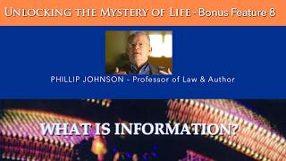 What Is Information