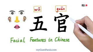 学写字【五官】Write “Facial Features” in Chinese - 眉Eyebrows/眼Eyes/鼻Nose/耳Ears/口Mouth｜中文教学 Learn Chinese