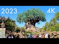 Disney's Animal Kingdom 2023 Complete Walking Tour in 4K | Walt Disney World Florida January 2023