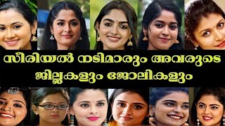 സീരിയൽ നടിമാരുടെ ജില്ലകളും യഥാർത്ഥ ജോലികളും അറിയാം|Malayalam serial actresses