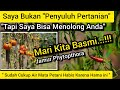 🛑 Tersenyumlah Petani Indonesia 💥 Kita Basmi Jamur Patogen Phytopthora Layu Busuk Akar Batang Buah ✅