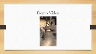 ECE 1304 Capstone Project Presentation Motion Sensor Radar