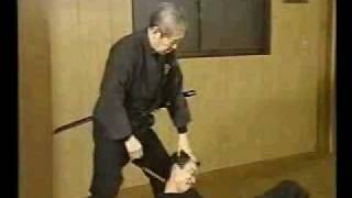 bujinkan video soke hatsumi masaaki