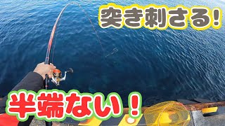 【神津島釣行】　離島遠征のフカセ釣り。爆風で湾奥の釣りになったが、ファイアブラッドをバットから曲げる魚❗️