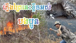 ភ្លើងឆេះព្រៃខ្ទិចអស់ហើយ គួរចាប់អ្នកដុតមកព្រមាន