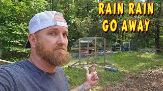 THE RAIN IS KILLING ME |tiny house, homesteading, off-grid, cabin build, DIY HOW