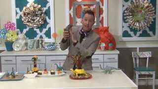 FYI Guy LIVE:  The Kids Decor Show