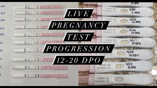 Live Pregnancy Test Progression 12-20 DPO | PREGNANT AT 39 | 7.5 mg Letrazole/Femara