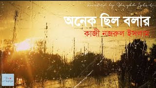 অনেক ছিল বলার❤️কাজী নজরুল ইসলাম💞 বাংলা কবিতা❤️ভালোবাসার কবিতা💞 শায়েখ ইকবাল💞Romantic Bangla Poem