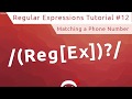 Regular Expressions (RegEx) Tutorial #12 - Telephone RegEx