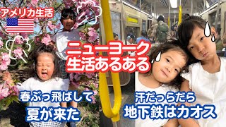 【アメリカ生活】ニューヨーク生活あるある| 子連れニューヨーク| 海外子育て