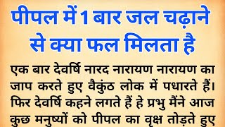 भगवान विष्णु ने बताया पीपल में जल चढ़ाने से मनुष्य को क्या फल मिलता है | पीपल को जल कब देना चाहिए |