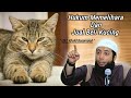 Ust. Khalid Basalamah - Hukum Memelihara dan jual beli kucing.