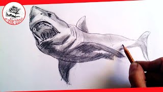 How to draw realistic sharks with pencil, Step by Step and Easy : Drawing the Easy Way