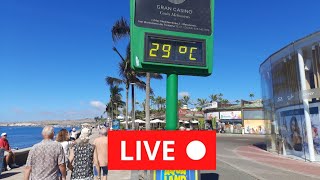 🔴LIVE MASPALOMAS Gran Canaria November 1, 2023 Wetter Weather