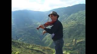 EDILBERTO PAUCAR C. - RUISEÑOR BULLERO (SANTIAGO 2013)