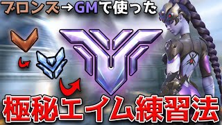 【ブロンズ→GM】日本人で３番目ぐらいのHitscanによる最強エイムを手に入れた練習方法！！【オーバーウォッチ2】