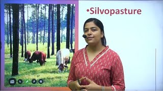 Silvopasture |Silvopastoral systems |UPSC/UPPSC |Divya Sharma