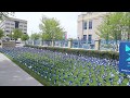 Child Abuse Awareness Month Pinwheels