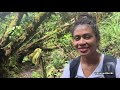 seychelles nature trail morne blanc nature trail seychelles travel vlog travel with niki 12