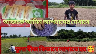 আজকে আপনাদের সাথে শেয়ার করবো তুলা বীজ লাগানো সহজ ও সঠিক পদ্ধতি 🥰 #newvideo #তুলা_বীজ