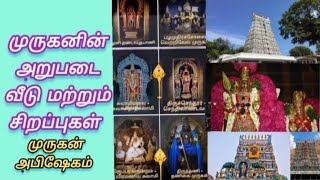 முருகரின் அறுபடை வீடுகள் மற்றும் சிறப்பு|முருகன் அபிஷேகம்|lord muruga Arupada house and Specialties