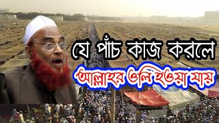 🔴যে পাঁচ কাজ করলে আল্লাহর ওলি হওয়া যায় ; আল্লামা নুরুল ইসলাম ওলিপুরী