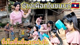 สาวอาลิสพาเที่ยวดูร้านค้าชุมชนของหมู่บ้าน,พาไปย้อนอดีตตำข้าวแบบโบราณ/ວິຖີລາວวิถีลาว