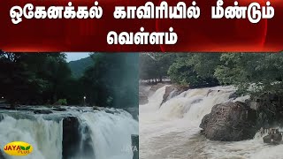 ஒகேனக்கல் காவிரியில் மீண்டும் வெள்ளம் | Hogenakkal | Flood | River | Falls