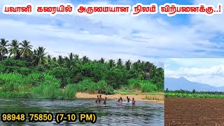 🌴 பவானி ஆற்றங்கரையில் இரண்டரை ஏக்கர் செம்மண் நிலம் |உணவுக்காடுக்கு🌴ஏற்ற நிலம் #landsale #farmforsale