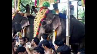 Thechikottukavu Ramachandran  /  majestic elephant/ tallest \u0026 big elephant in kerala /star elephants