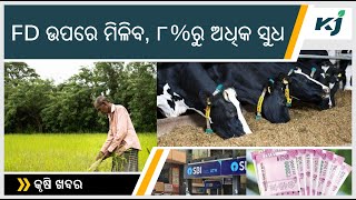 FD ଉପରେ ମିଳିବ ୮%ରୁ ଅଧିକ ସୁଧ l ODISHA l CUTM l  FD l  NEET l UREA l MILK PRODUCTION l TODAY AGRI NEWS