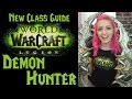 Demon Hunter | Overview & Tips | Legion Class Series | Legion | TradeChat