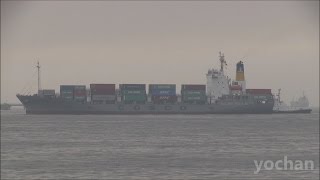 Container Ship: COSCO KIKU (Owner: COSCON, IMO: 9247871)