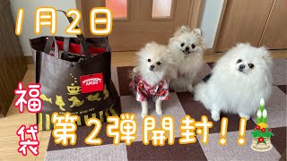 2021初売りで犬の福袋を買ってきて紹介してみた第2弾！！