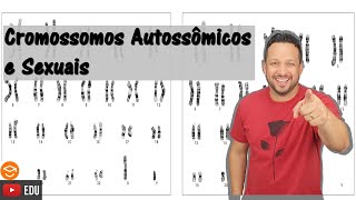 Cromossomos Autossômicos e Cromossomos Sexuais - Tipos de Cromossomos - Genética