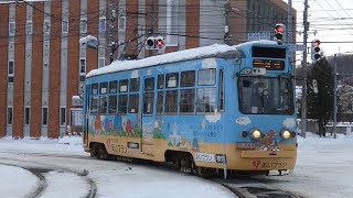 札幌市電　240形 247　路面電車 電車事業所前電停