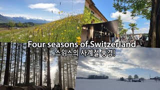 사계절 스위스 풍경, Four seasons of Switzerland! 스위스 일상과 산책로 탐험