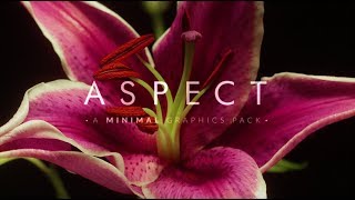 Aspect: 200+ Minimal Graphic Elements | RocketStock.com Aspect: 200+ Minimal Graphic Elements | RocketStock.com