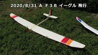 2020/8/31 F3B イーグル スロープソアリング