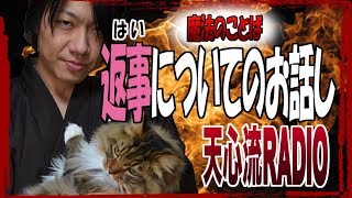 【天心流ネットラジオ】返事についてのお話し #3