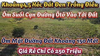 Cần Nhượng 4,5 Héc Đất Đen Trồng Ôm Suối Cạn Đường Ôtô 250 Triệu Hết Đất Rẻ Như Đồng Nát