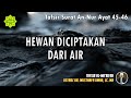 TAFSIR SURAT AN-NUR AYAT 45 - 46 | Ustadz Dr. Musthafa Umar, Lc., MA