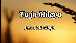 Tu Jo Mileya | Video | Juss x Mixsingh New Punjabi Song 2024 | Latest Punjabi Songs 2024
