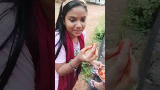 സൂപ്പർ ചാമ്പക്ക ഒരാളുടെ പിണക്കവും 😄 #video short