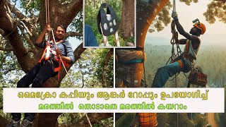 കപ്പി ഉപയോഗിച്ച് വലിയ മരങ്ങൾ കയറാം, #malayalam #tree #pully #nylone rope