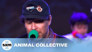 Genie's Open x Trains Across The Sea —Animal Collective (Silver Jews Cover) | Performance | SiriusXM