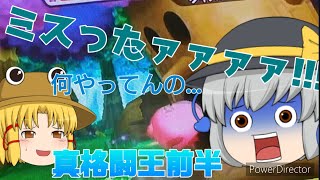 星のカービィWii真格闘王への道　前半　　　【ゆっくり実況者】【星のカービィWii】