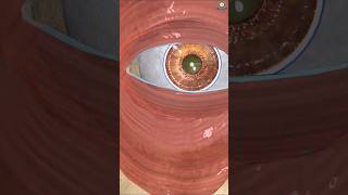 What is cornea , cornea transplant, cornea, transparency of cornea, cornea function #trendingshorts